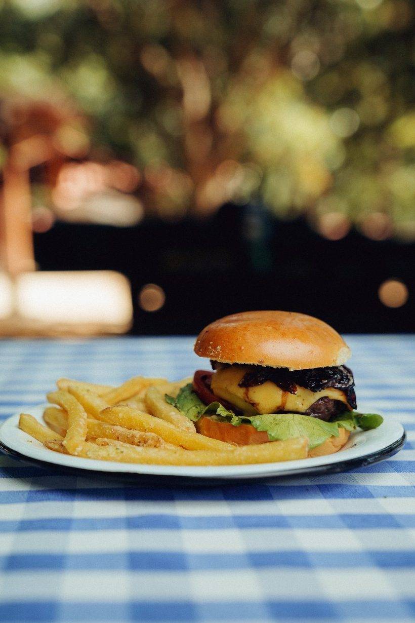 Hambúrguer com batata frita no prato, com o jardim ao fundo