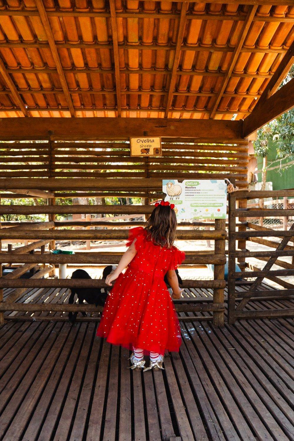 Menina de vestido olhando os bichos no deck