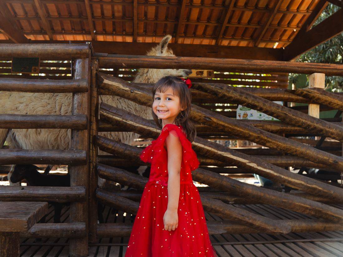 Menina de vestido de festa ao lado do cercado das ovelhas